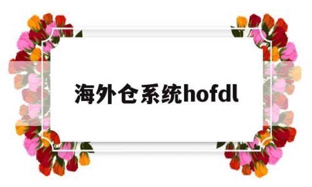 海外仓系统hofdl