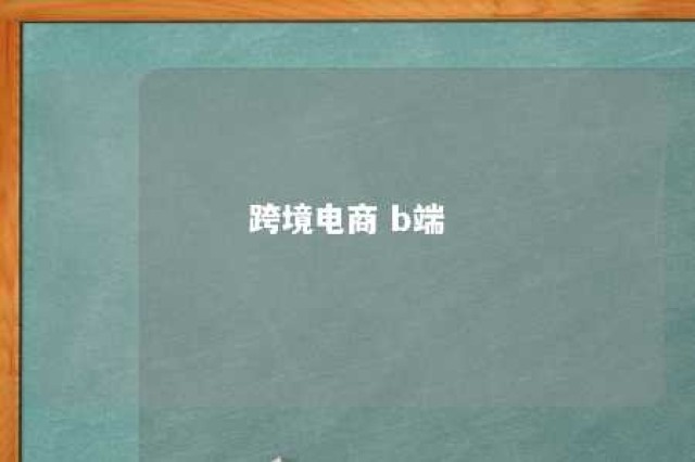 跨境电商 b端 跨境电商B端优缺点和现状